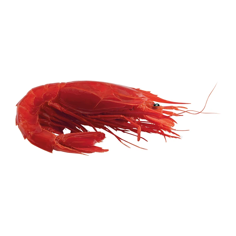 Giant Scarlet Shrimp frozen seafood from deep Mozambique waters high quality frozen food