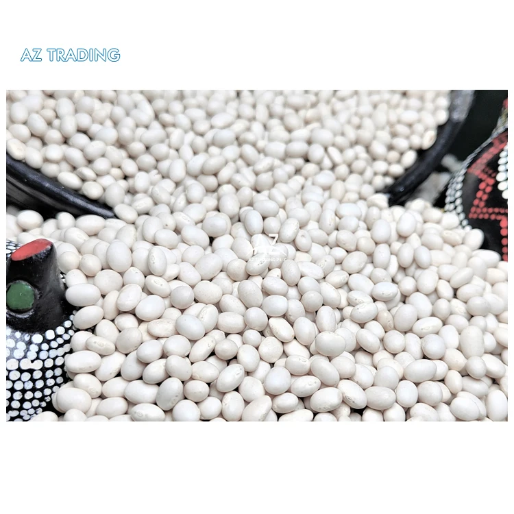 Bulk Supplier of Premium Grade Uniform Bright White Organic White Pea Beans/ Ethiopian Kidney Beans