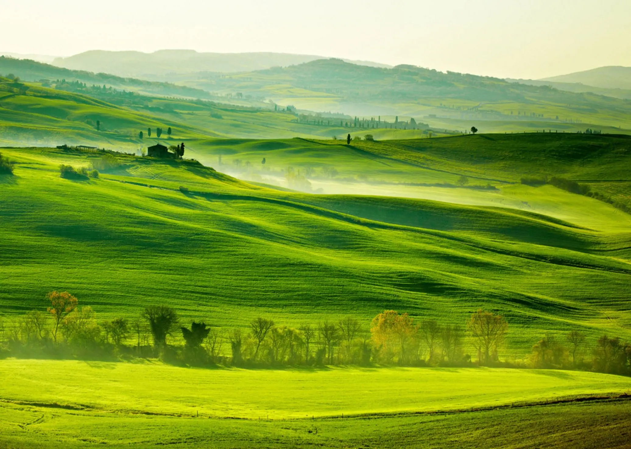 Роскошное итальянское белое вино SAUVIGNON Venice Ia Blu 2019 Scuderia Italia