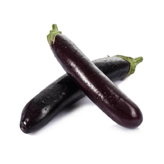 Fresh long eggplant