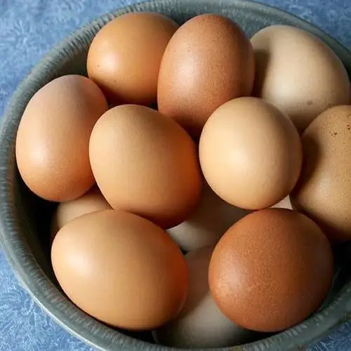 High Quality Fertile Hatching Chicken Egg/Fresh Chicken Table Eggs