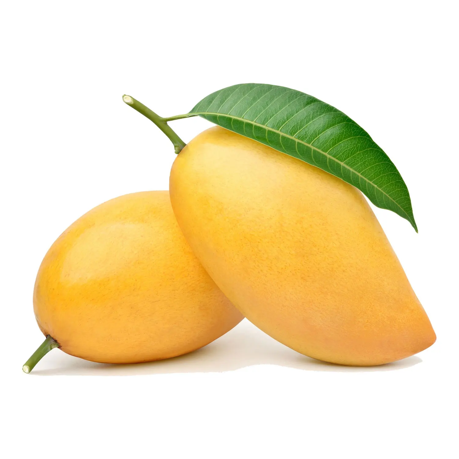 Fresh Sindhri Mangos