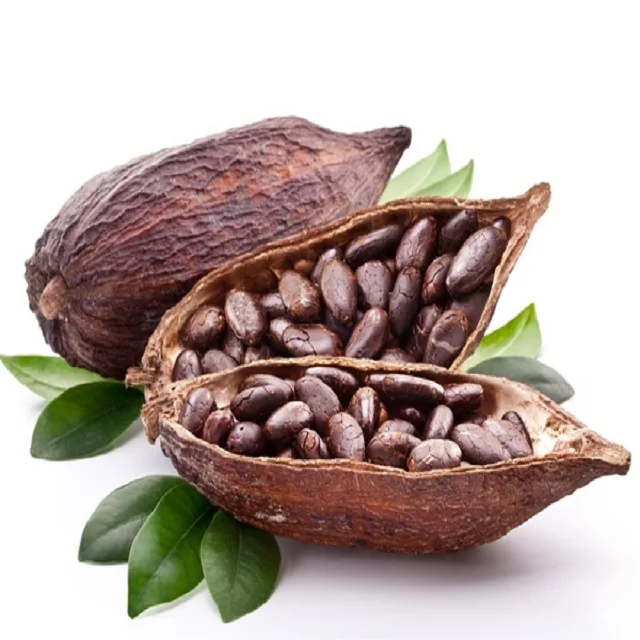 Cocoa Bean Price Per Kg High Quality Raw Cocoa Bean Ghana Organic Cacao Bean (11000002473920)