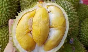 Vietnam Fresh Durian Fruit/ Frozen Fruit - Ms Holiday