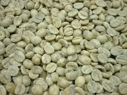 
Coffee Bean Common Cultivation Type Robusta Variety Processing Type Green 90% Maturity 