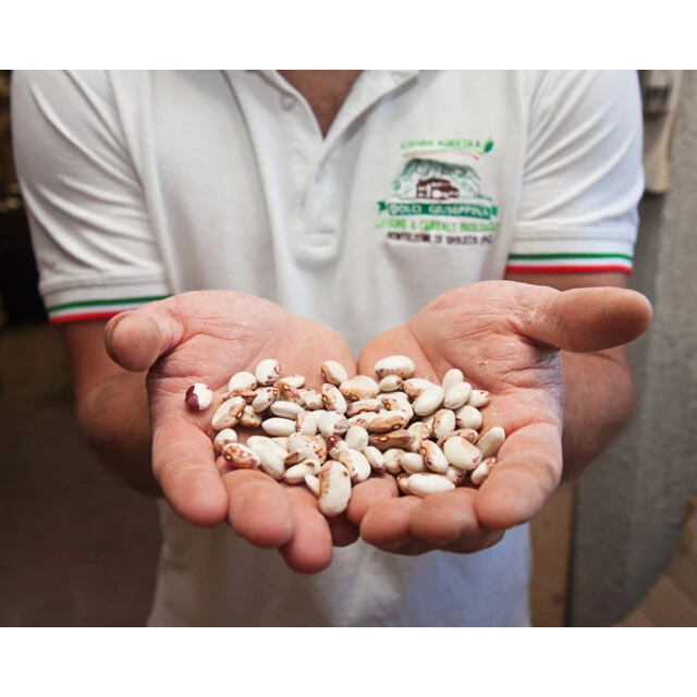 Органические зерновые зерна emmer, зерновые полужемчужные копчики россыпью (кг) DOP оптом