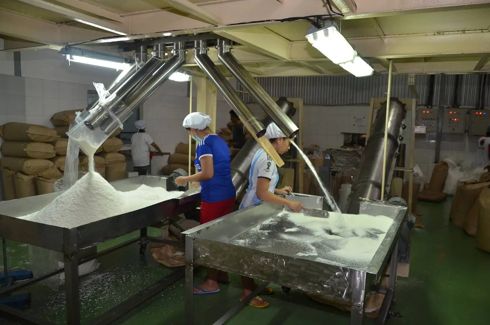 Вьетнамский осушенный кокос с высоким содержанием жира средний сорт хорошая цена