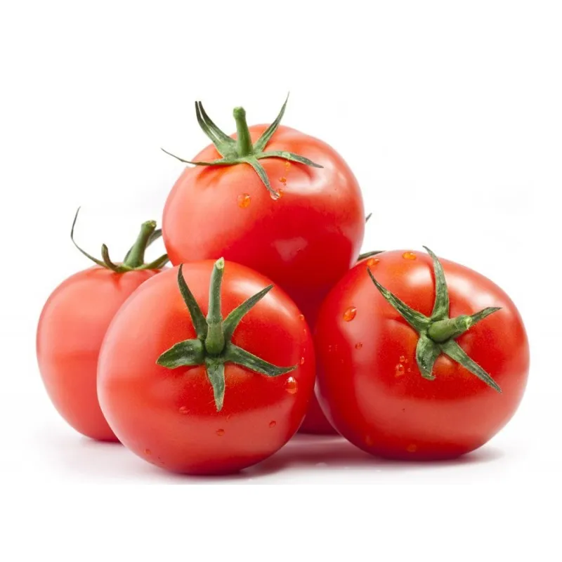 Hybrid Tomato Seeds Cameron, Benin Tomato