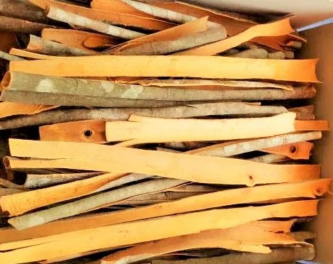 
New natural crop qualified Cinnamon cassia split 
