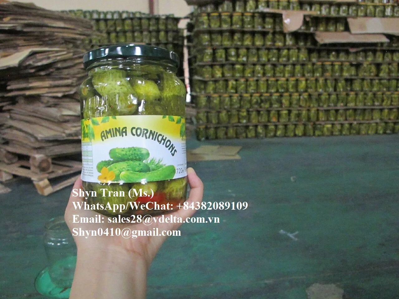 Pickled Baby Cucumber // Gherkins, Cornichon //Shyn Tran +84382089109