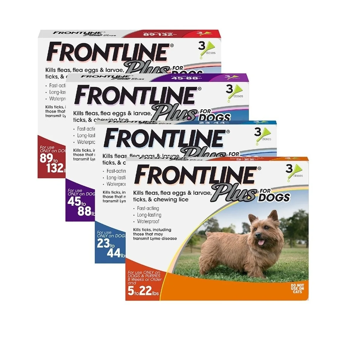 Direct Supplier Of High Quality Frontline Plus Flea & Tick Treatment for Dogs (Small Dogs 5-22 Pounds) Wholesale Price