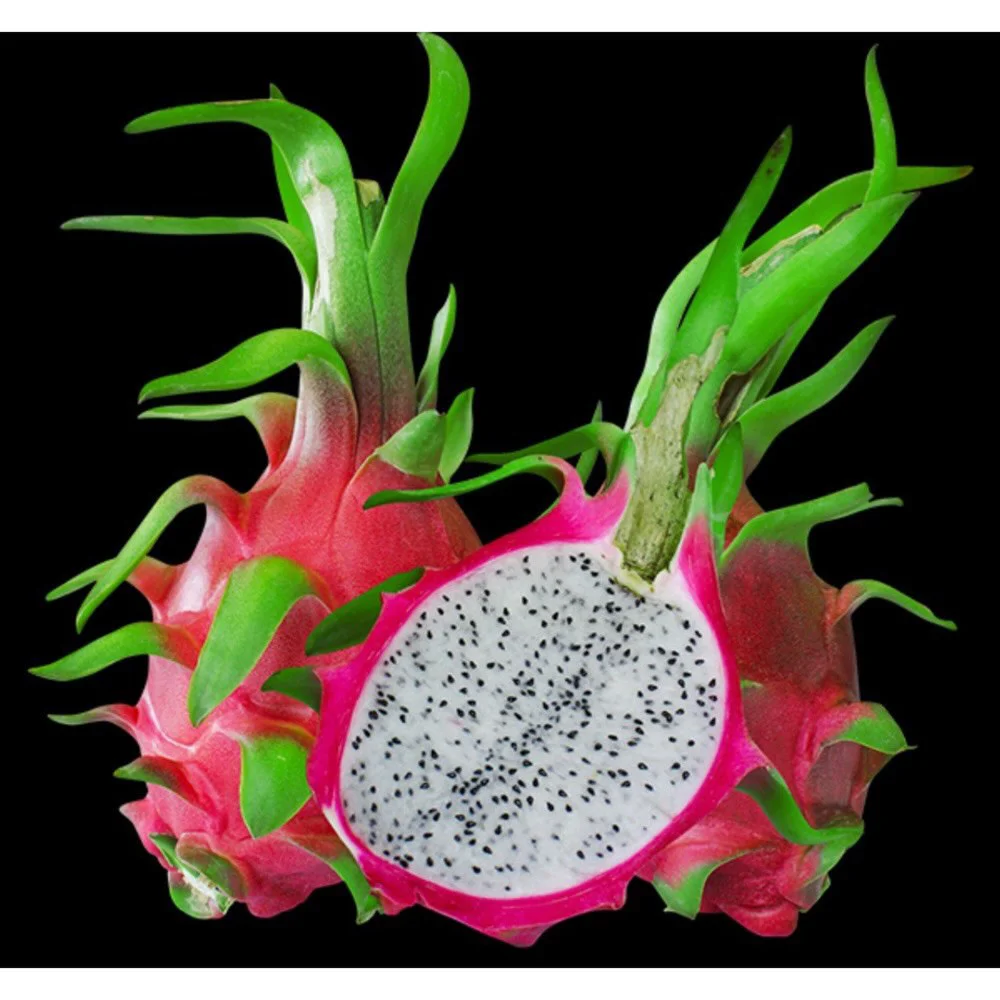 High quality  Fresh Dragon fruit From Vietnam With  Competitive Price for Japan market and European market