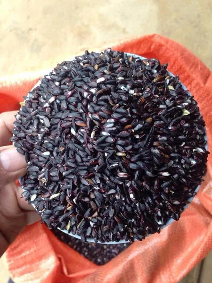  Вьетнам высококачественный ароматный рис черный фиолетовый 5% Стандартный органический (мс Деми + 84 961 733 400)