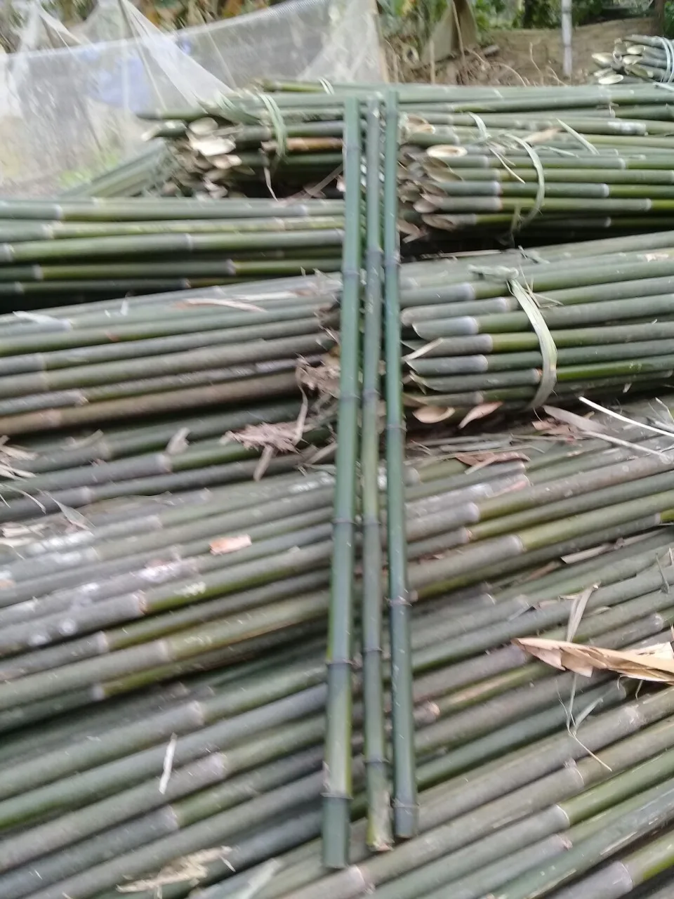 Лидер продаж бамбуковые палочки из натурального материала для изготовления забора или изделий ручной работы
