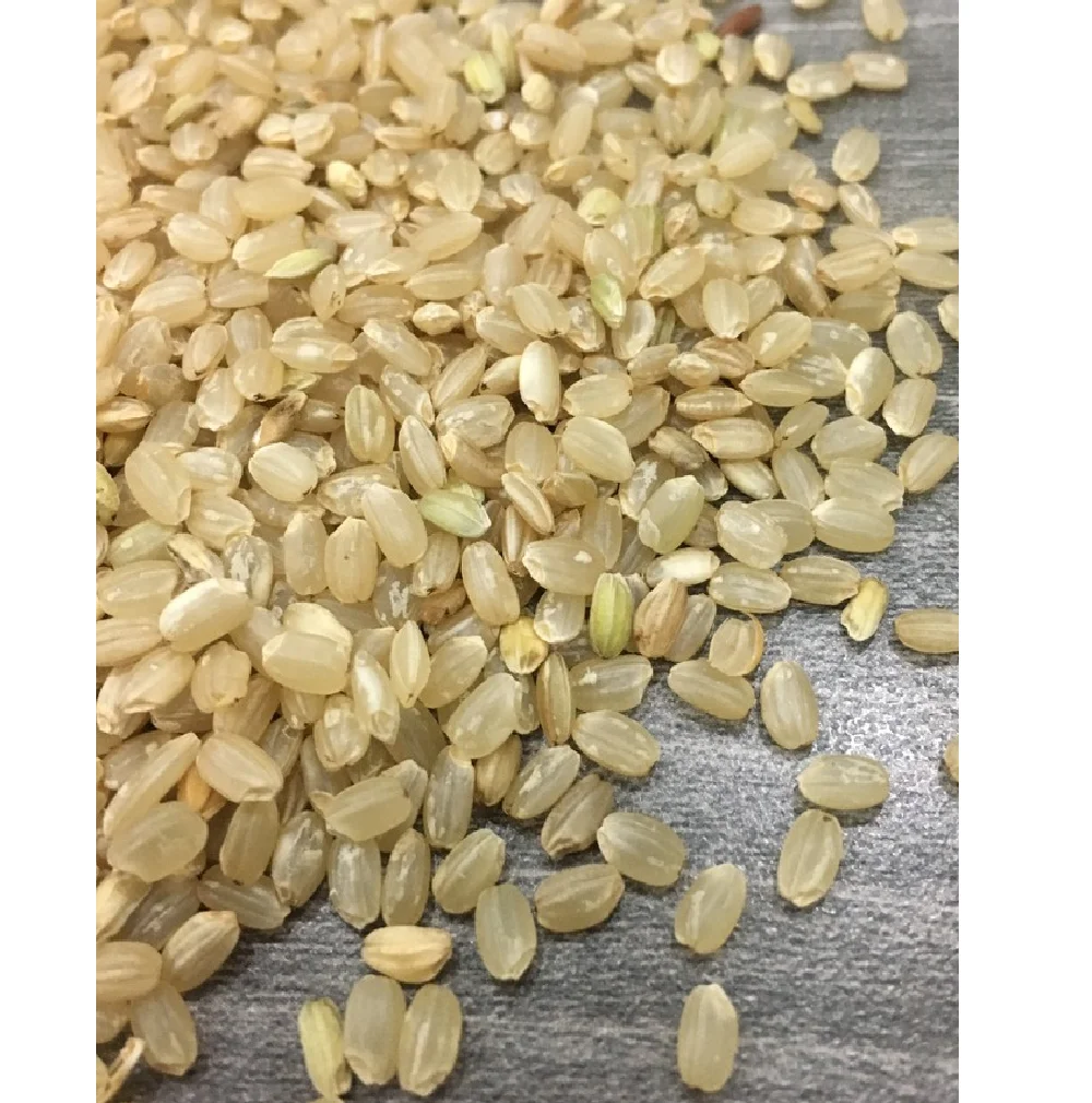 JAPONICA BROWN RICE 5% BROKEN DRIED STYLE SHORT GRAIN RICE FROM VIET NAM