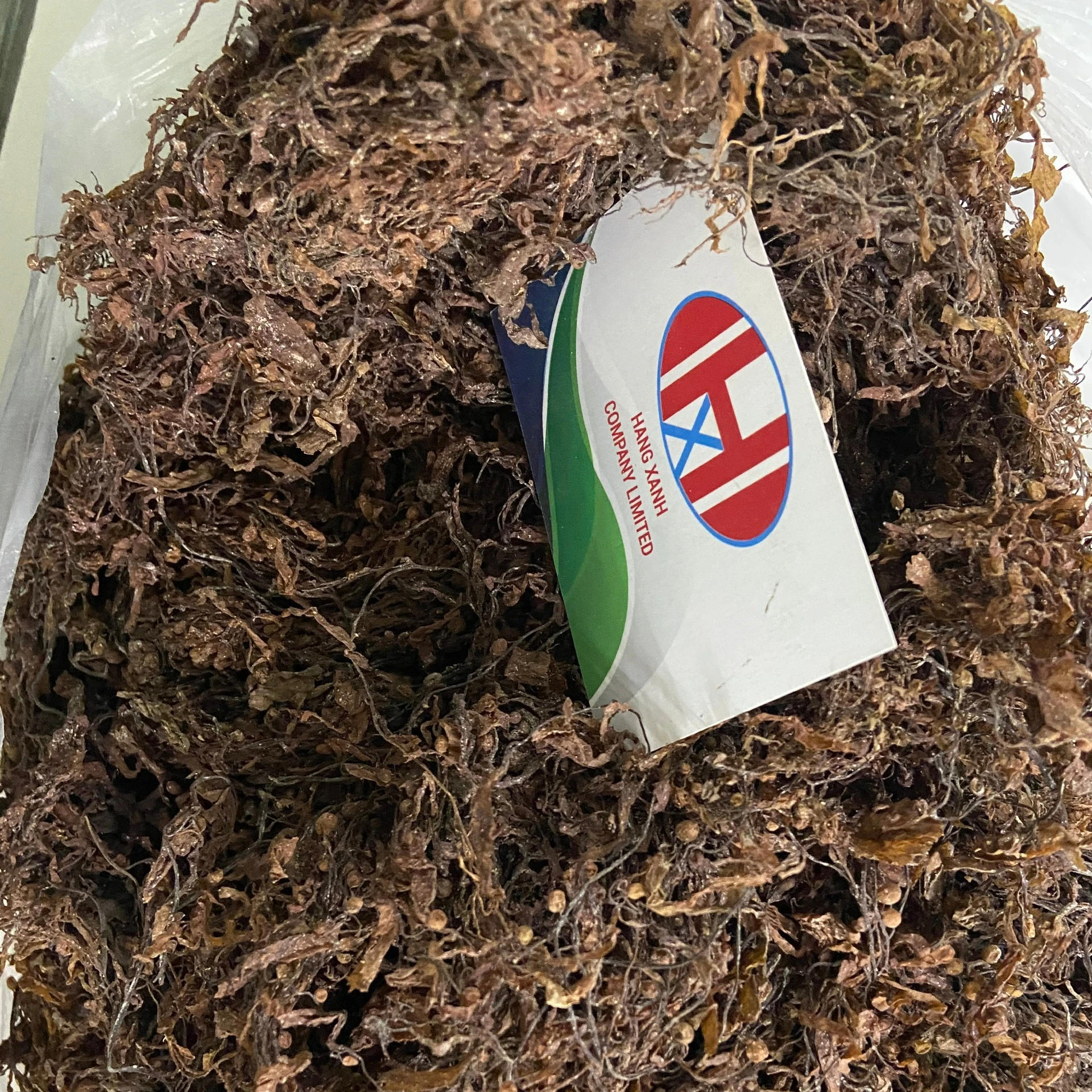 Высококачественные сушеные саргассум водоросли/сушеные по лучшей цене МИСС Эллен + 84383874313