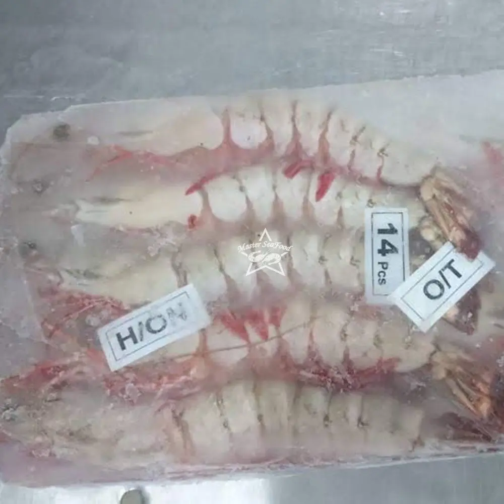 Ocean Tiger Shrimps  on Boat Frozen Block Head On Shell On Net Weight Net Count Size U4 U5 U6 U8 U10 U12 U15 U20