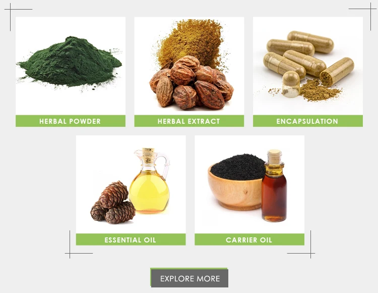 Bulk Quantity Exporter of Good Quality Goat Weed Epimedium Extract Powder for Wholesale Purchase