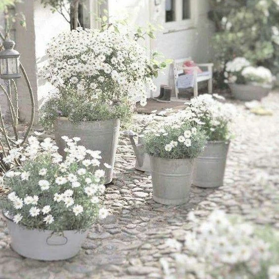 FLOWER POTS TO GET YOU GIDDY ABOUT GARDENING