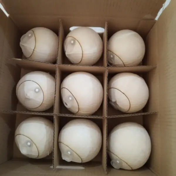 fresh coconut export/coconut water extracting/vietnam fresh coconut in 2020