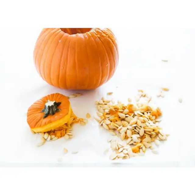 Premium quality organic pumpkin oil extraction machine for hair growth from India