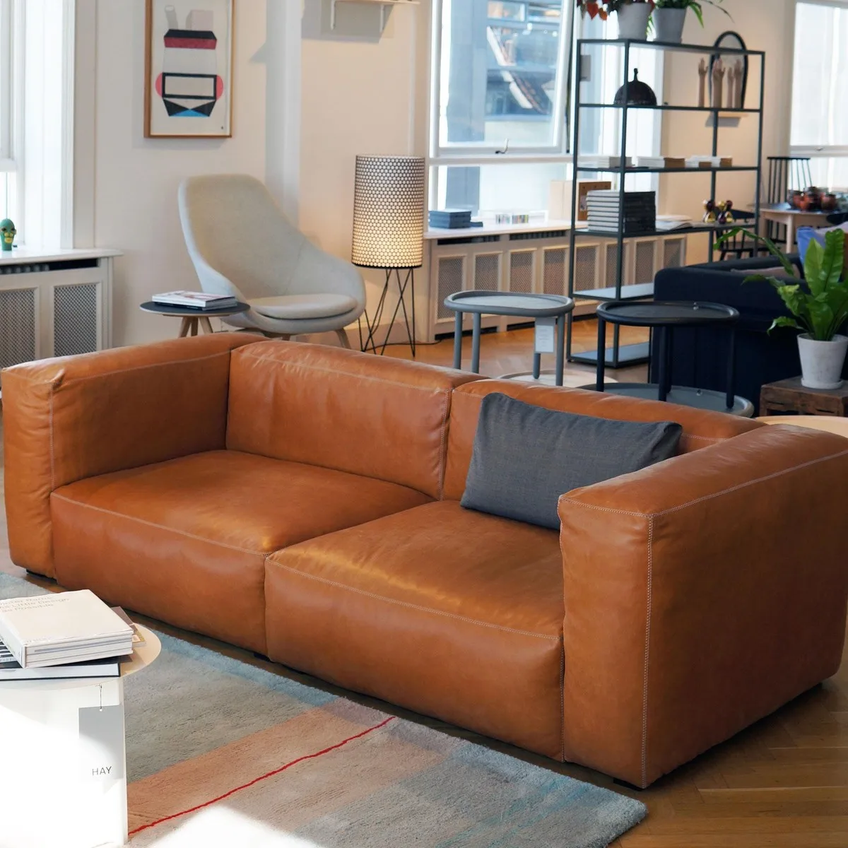 Living room leather sofa