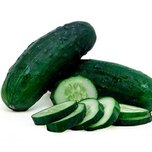 
Fresh Organic Pickle Cucumber 