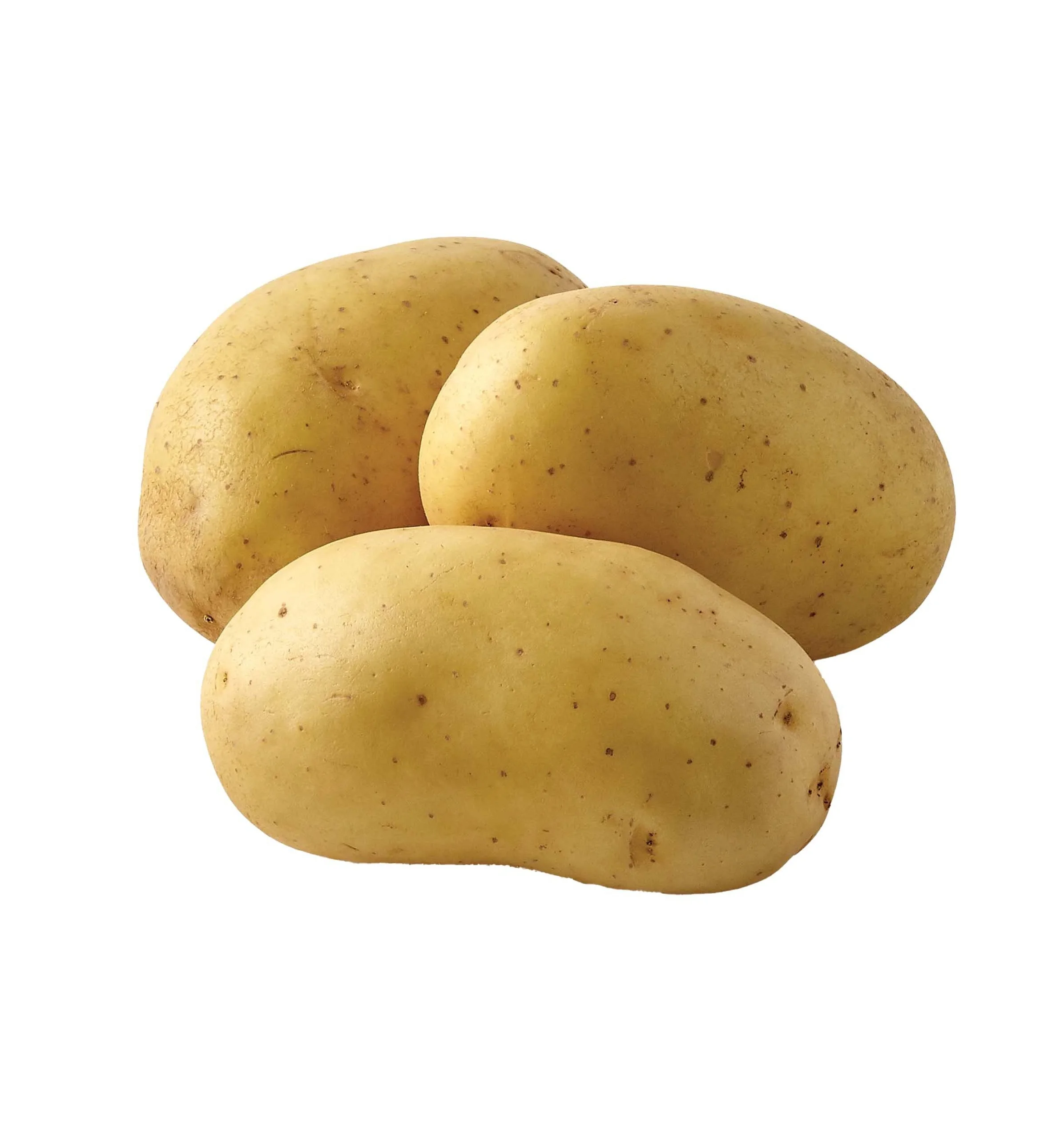 Wholesale Price Best Quality Fresh Potatoes Bulk Quantity Fresh Potatoes