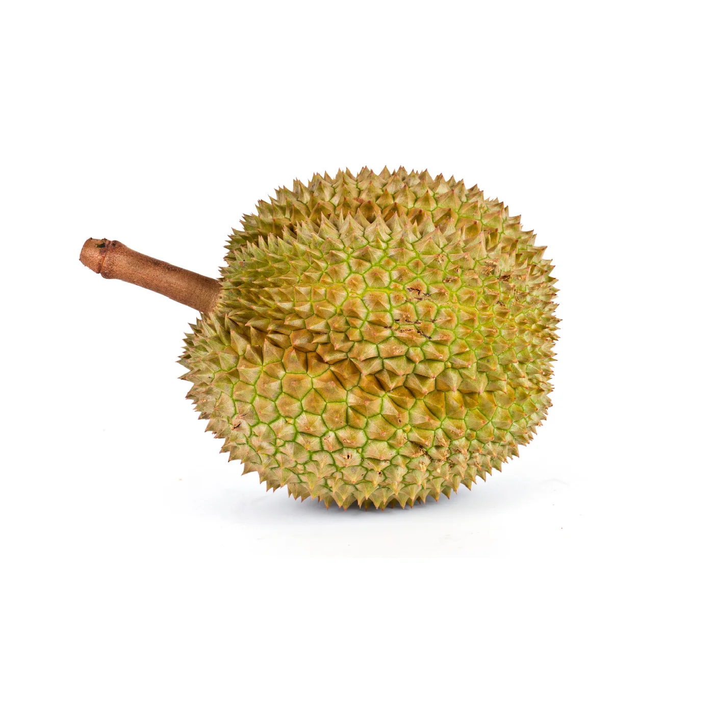 Производство Малайзии 100% Свежий Супер сладкий вкус Премиум качество Musang King Durian полный фрукт экспорт