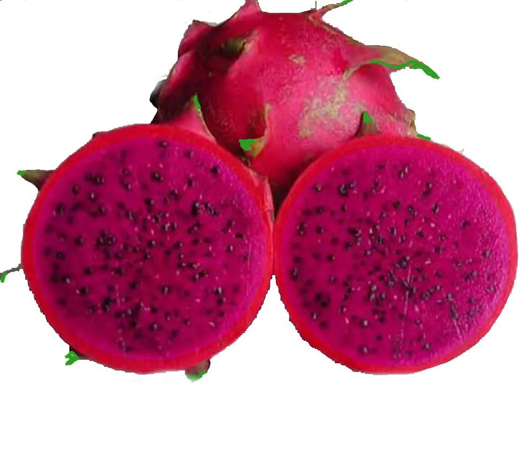 100% Отличный фрукт дракона