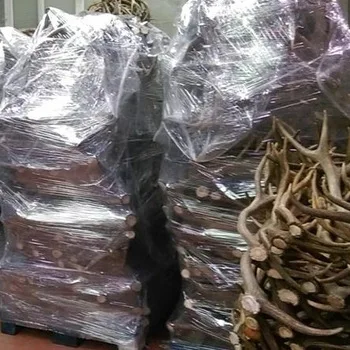 
Red Deer Antlers, Red Deer Antlers Horns, Cow horns or Antlers 