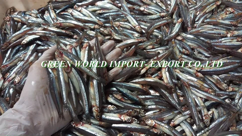 Dried Anchovy Fish from Vietnam with best quality