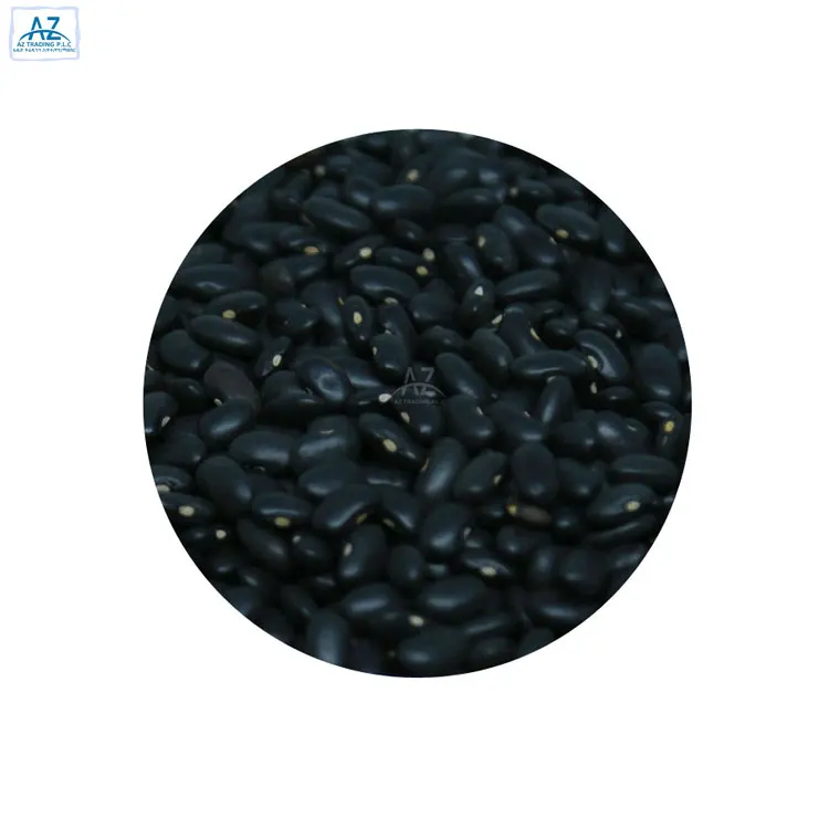 Huge Demand on Best Quality Ethiopian Black Kidney Beans at Bulk Price
