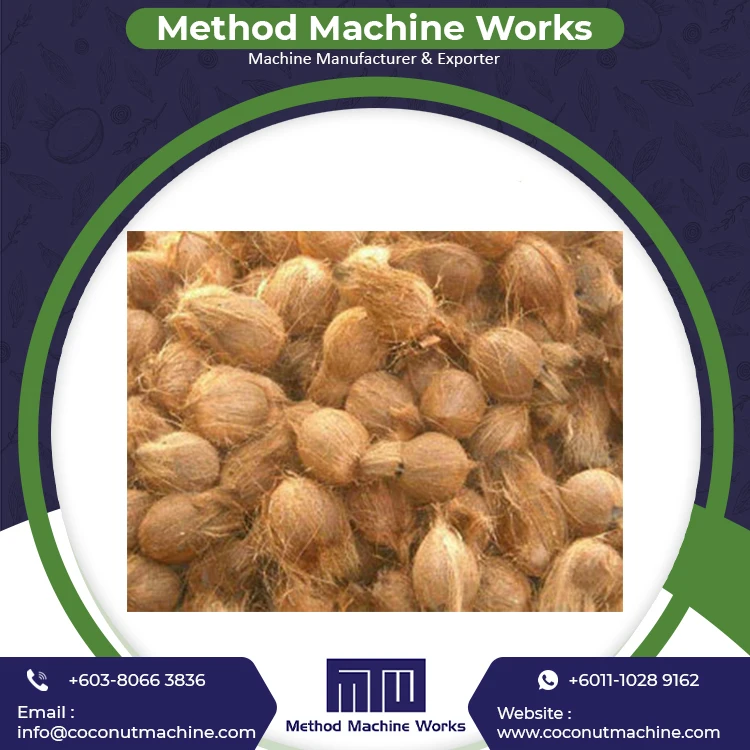 Fresh Organic Dehusked Coconuts for Sale Cheap Price Young Coconut Dehusking Supplier in Malaysia