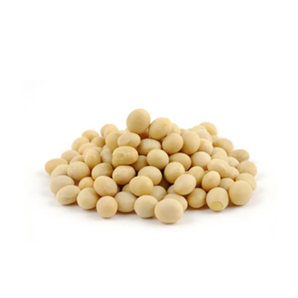 Bulk Dried Wholesale Soybeans
