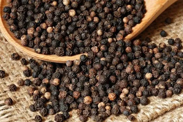 [Autumn Season] Single Spices Best Price High Grade Quality Black Pepper From Vietnam