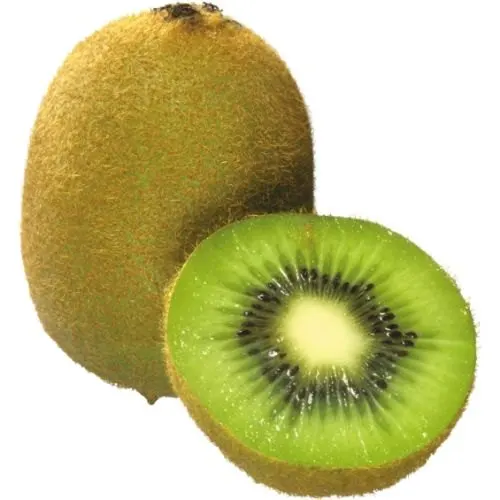 
Top Grade Kiwi Fruit Most Popular Fresh Kiwi Fruit 