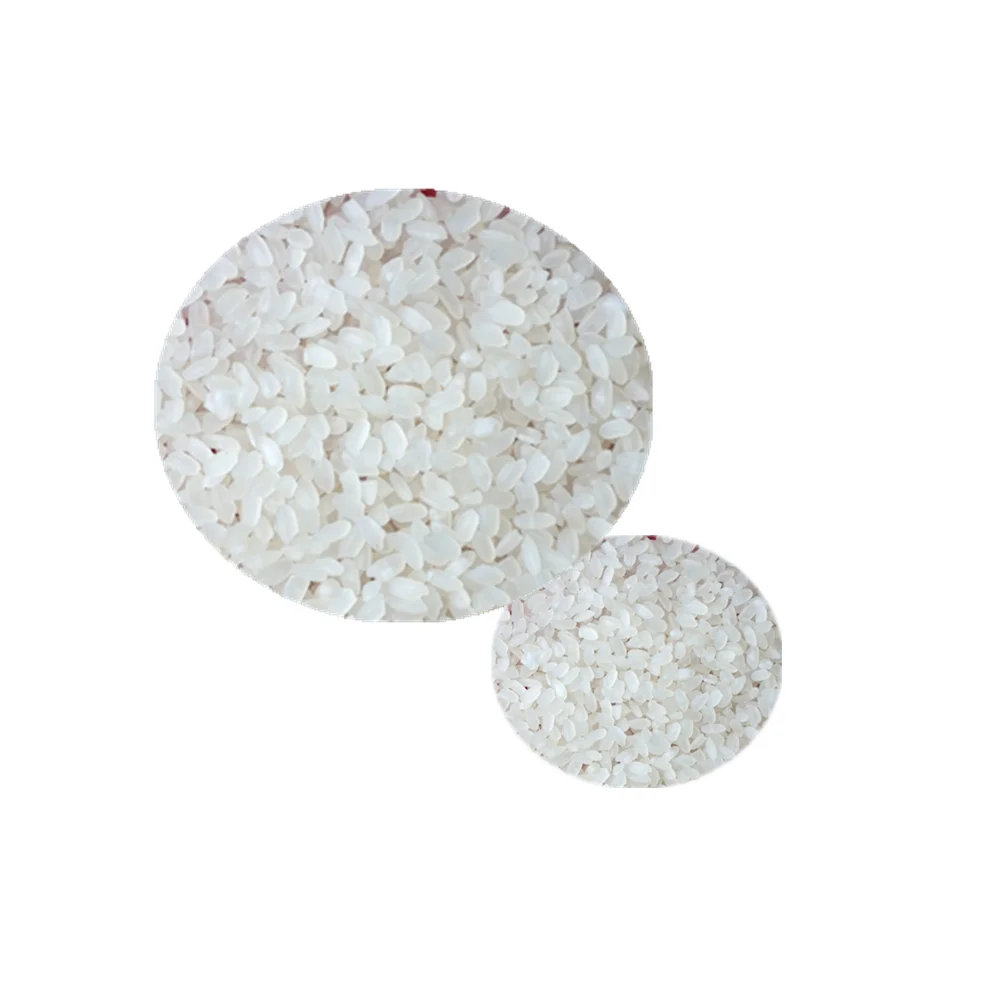 
EXPORT ROUND RICE / JAPONICA RICE BEST QUALITY 