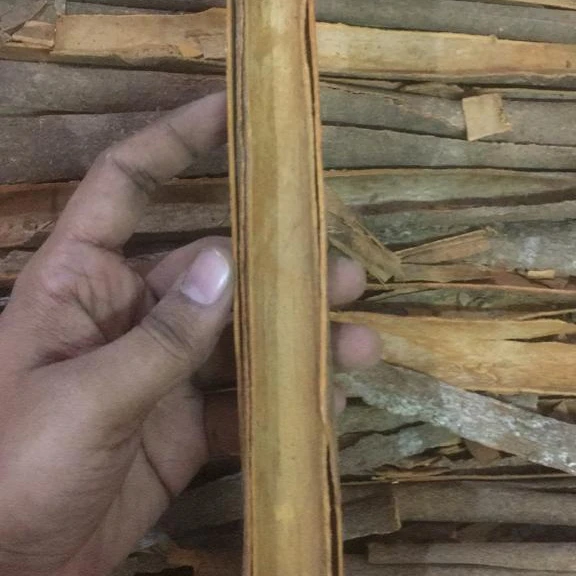 Wholesale High quality healthy food top Natural Brown Split Cassia Cinnamon / Cinnamon Stick traditional spices from India