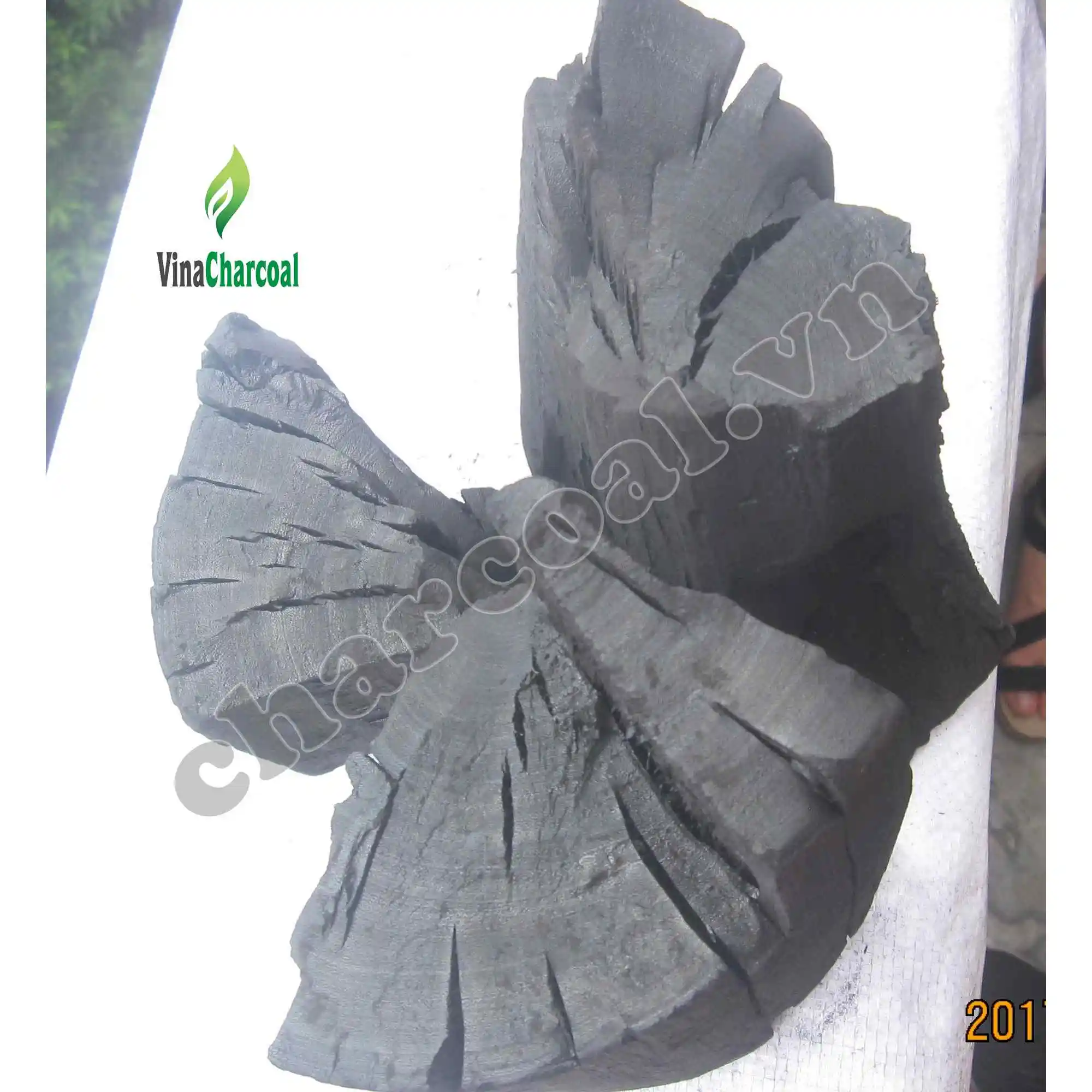 Barbecue/grilling hardwood cassia charcoal at the cheapest price for UAE Israel market