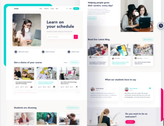 Разработка и разработка динамической сети B2B B2C