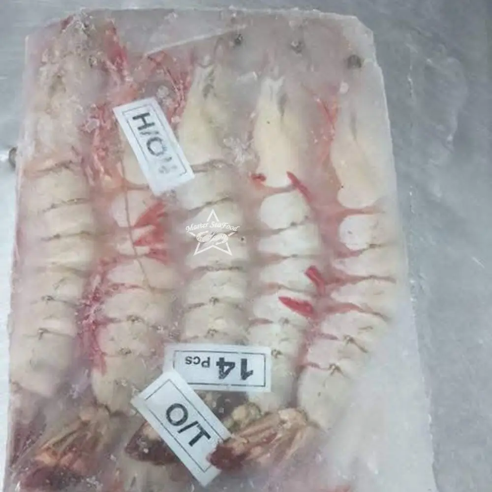 Ocean Tiger Shrimps  on Boat Frozen Block Head On Shell On Net Weight Net Count Size U4 U5 U6 U8 U10 U12 U15 U20