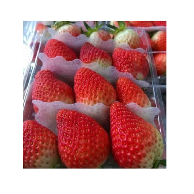 100% natural FD strawberry/dry strawberry, delicious snack fruit