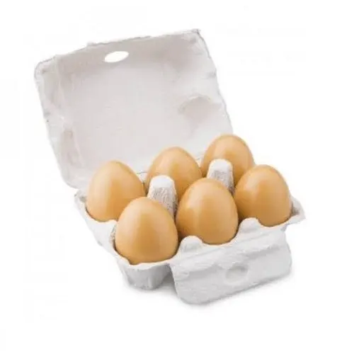 High Quality Fertile Hatching Chicken Egg/Fresh Chicken Table Eggs