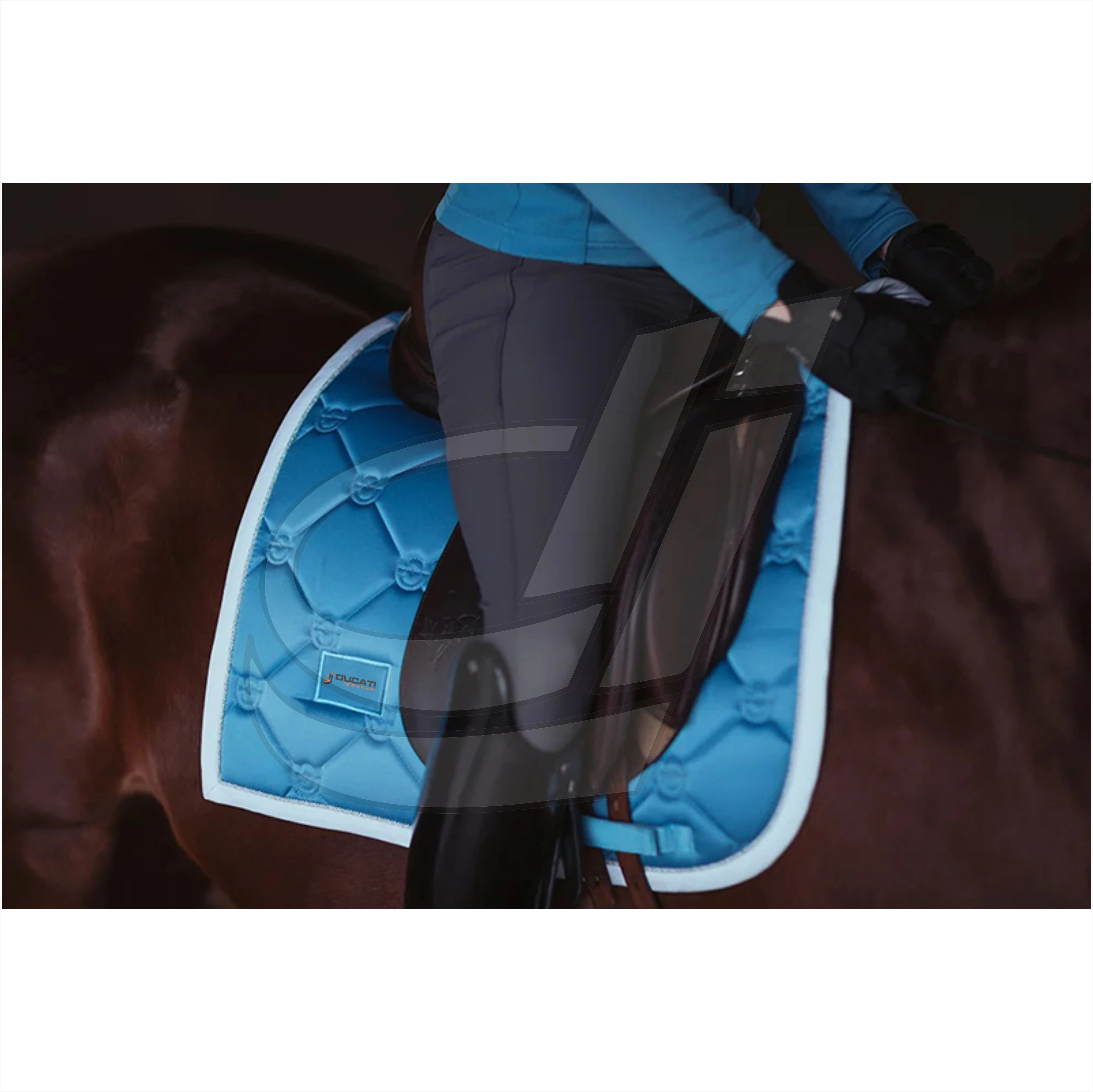 Horse Riding Equipment Equine Equestrian Products