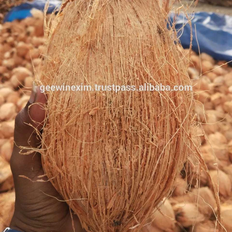 EXPORT QUALITY INDIA COCONUT