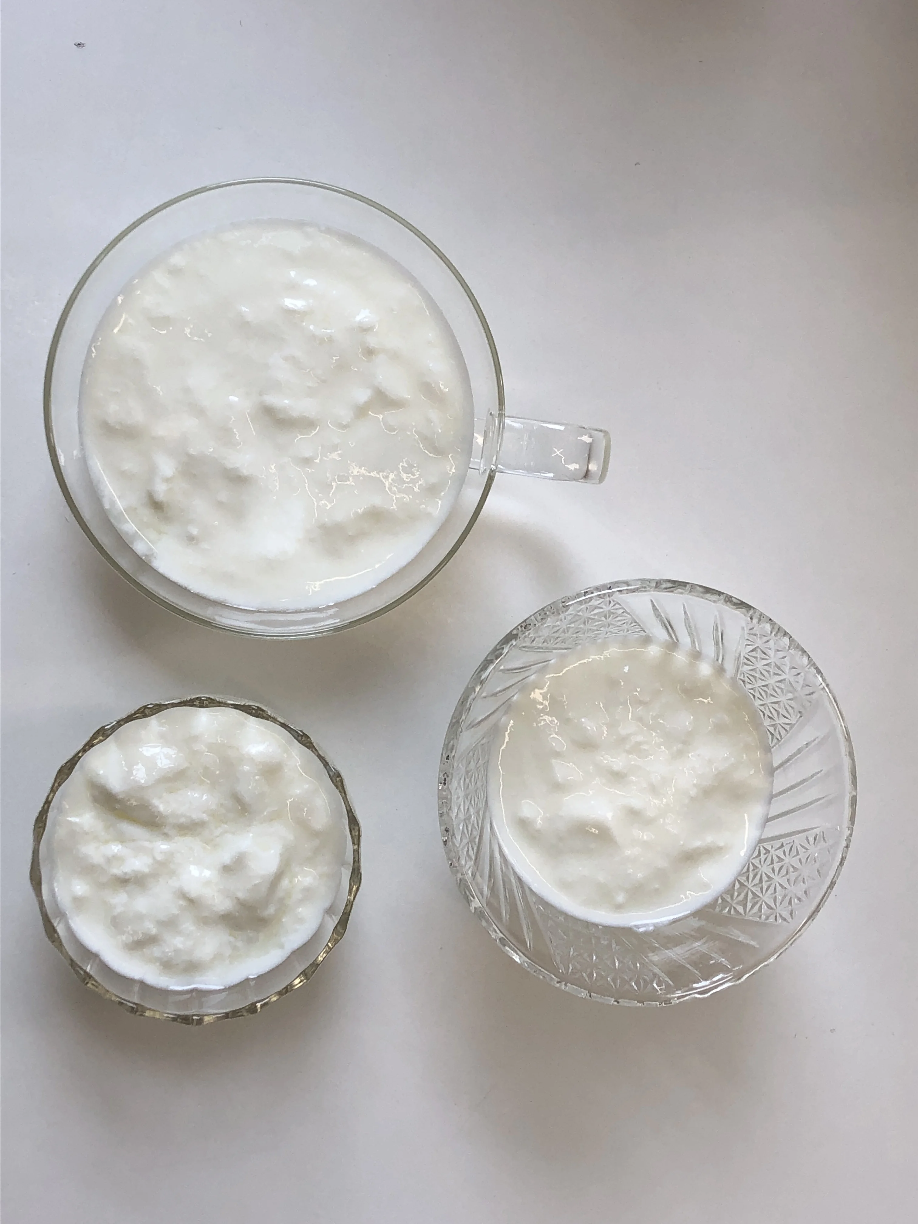 Healthy life kefir yoghurt from Japan