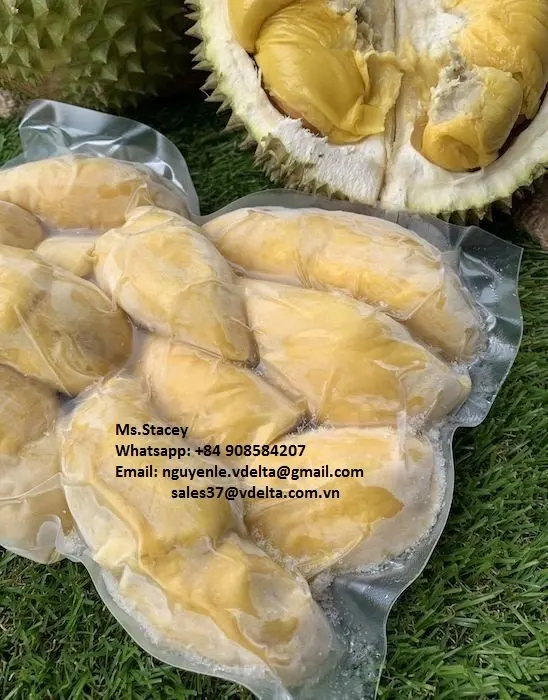 Wholesale Frozen Durian
