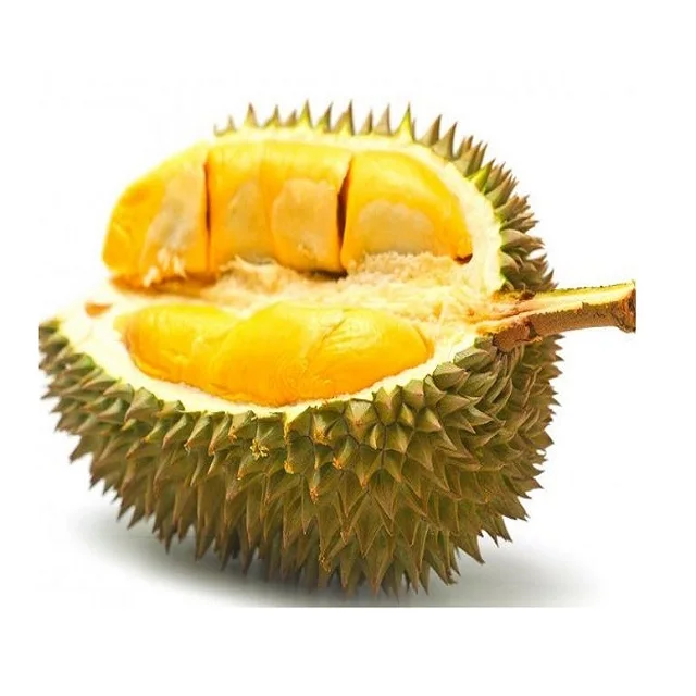 2021 Wholesale Fresh Durian Best Price High Quality for EU market Bio clean Global Gap in Vietnam Free Tax
