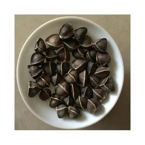 Best selling plant extract moringa oleifera leaf extract powder